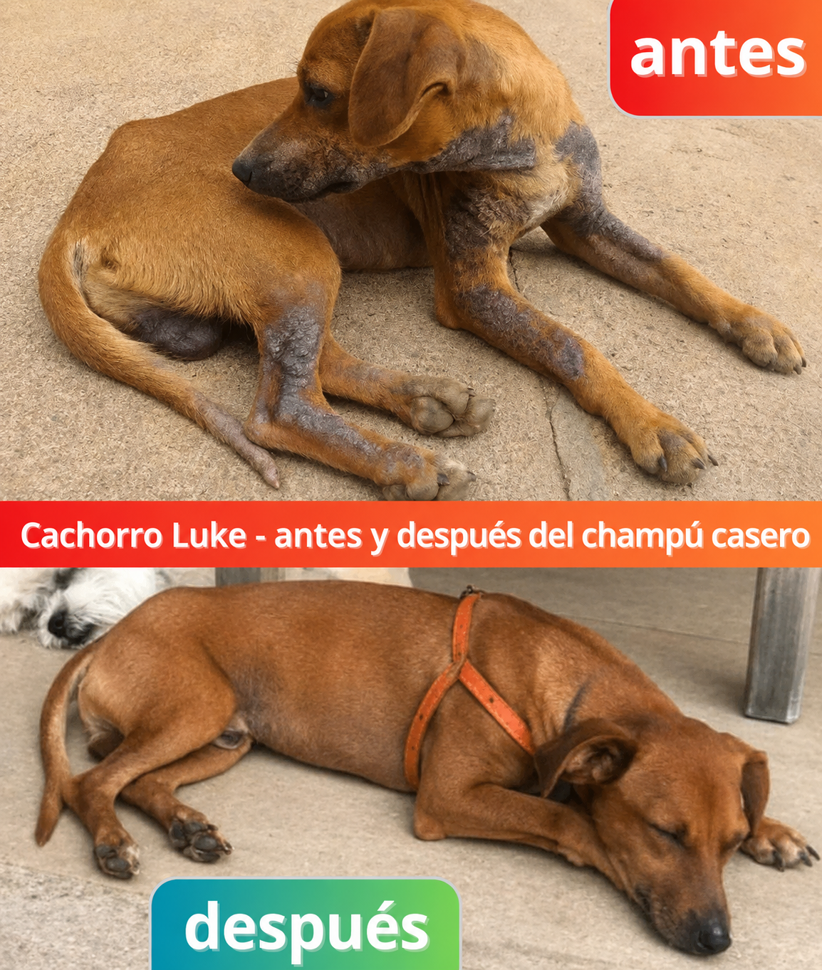 Antes y después